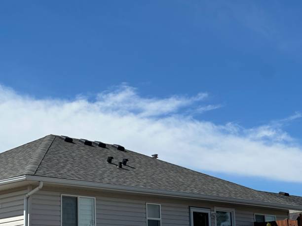 Best Chimney Flashing Repair  in Tiffin, OH